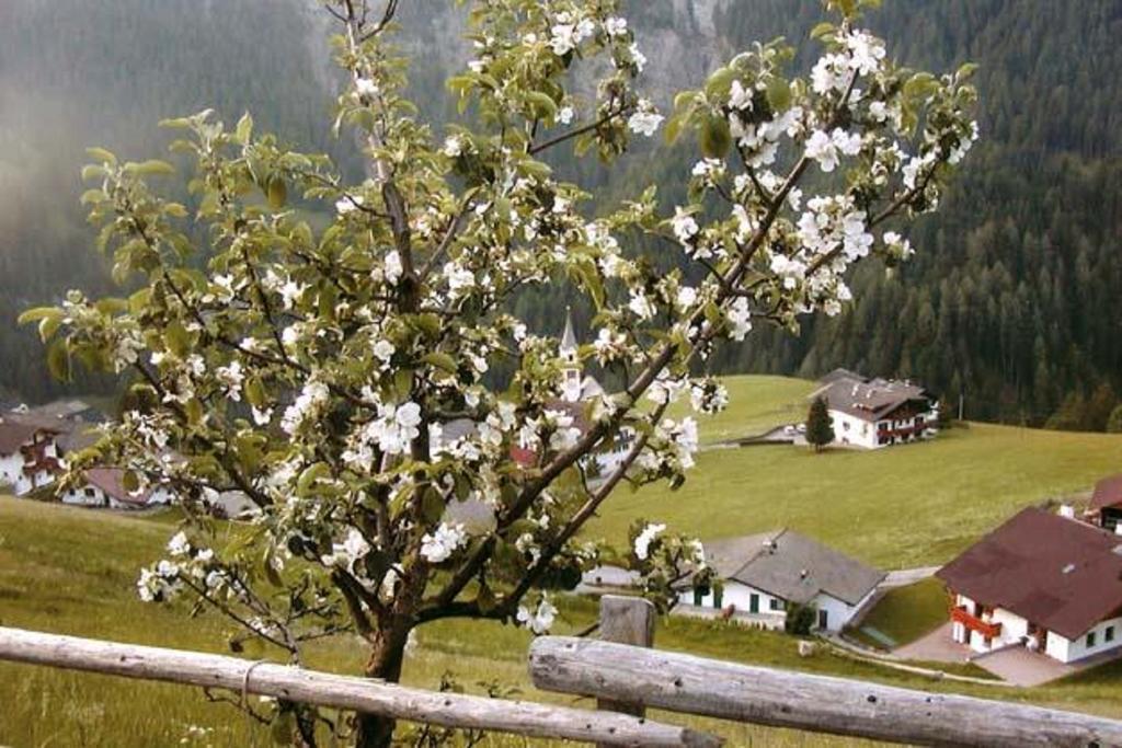 אורטיסיי Agriturismo Apartments Tuene מראה חיצוני תמונה